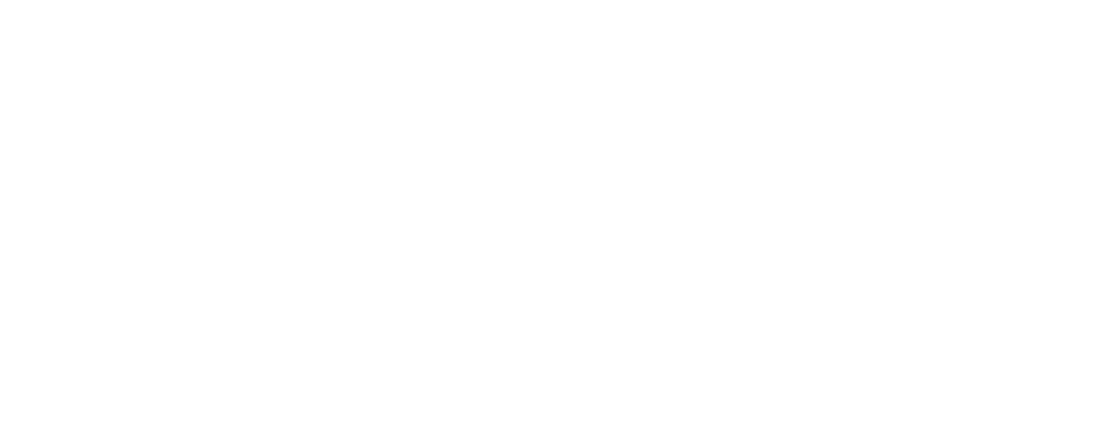 mirza logo